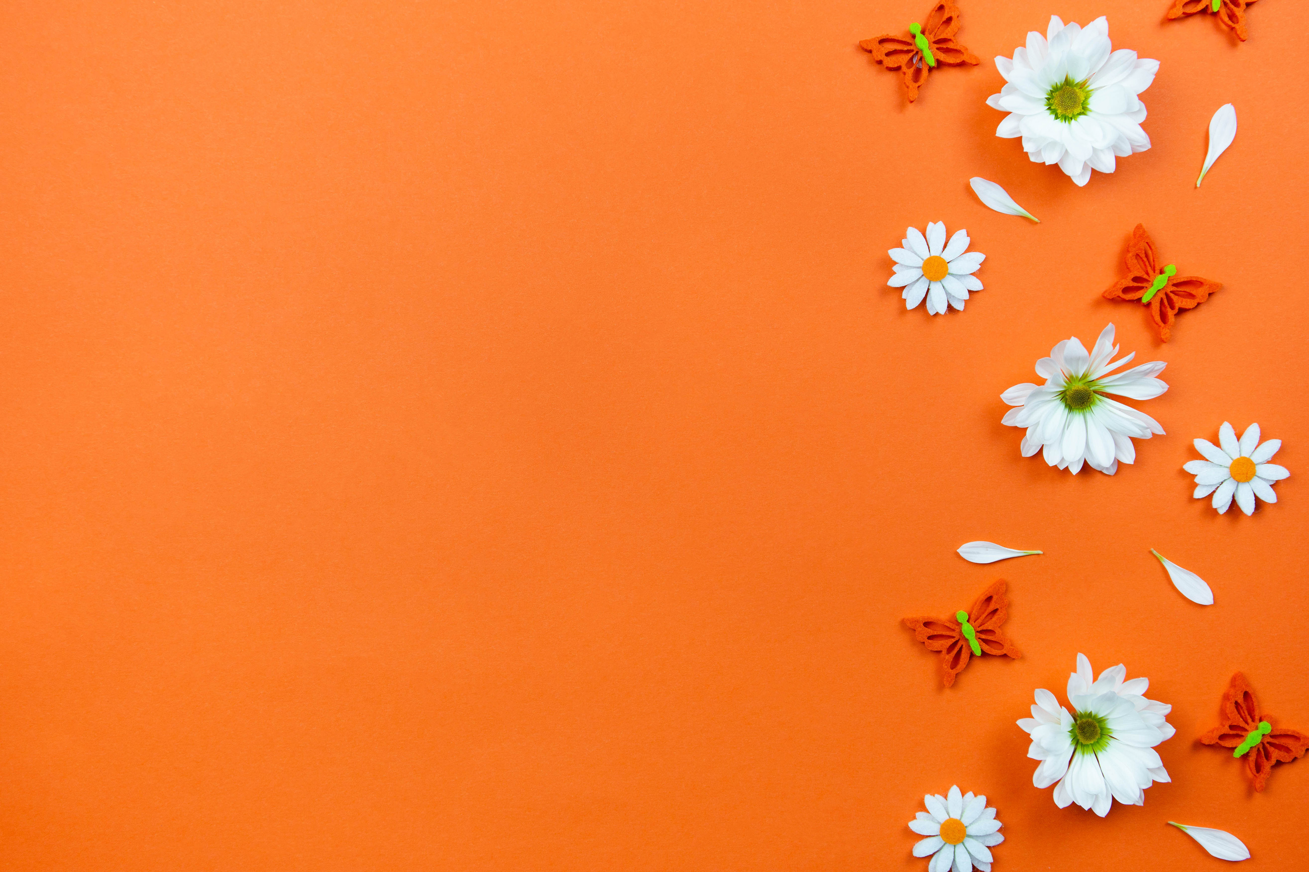 Composition of Flowers and Butterflies on Orange Background